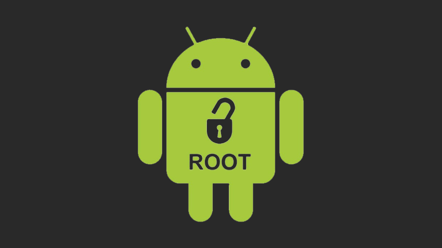 Root
