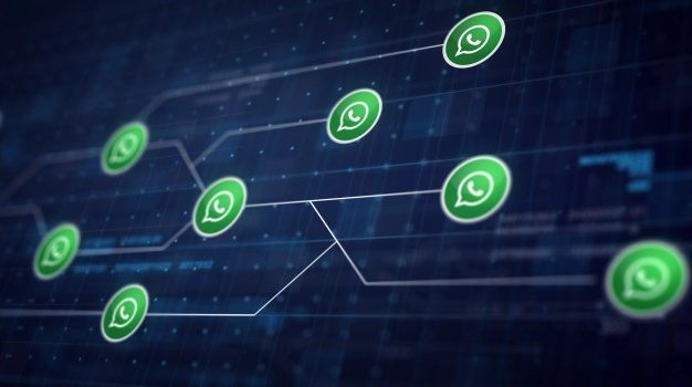 espionar whatsapp na internet